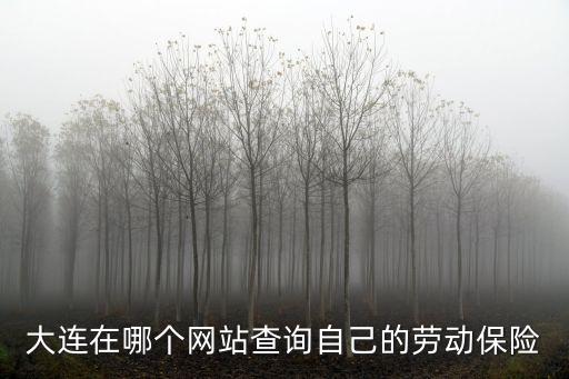 遼寧社保查詢，大連在哪個網站查詢自己的勞動保險