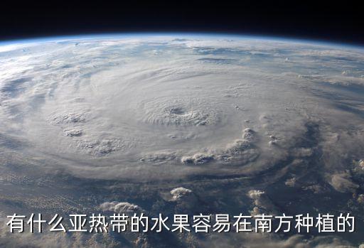 亞熱帶水果，有什么亞熱帶的水果容易在南方種植的