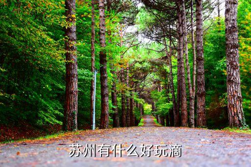 蘇州旅游景點，蘇州的旅游景點有哪些