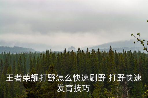 王者榮耀打野思路，求打野思路和抓人技巧