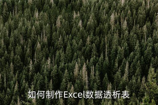 數據分析表怎么做，如何運用Excel編制統計表并做一般數據分析
