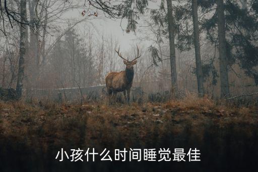 小孩睡眠時間，請教寶寶的睡眠時間