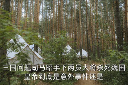 司馬昭弒君，司馬師廢帝北魏孝文帝改革高平陵之變拓跋珪復(fù)興魏國(guó)司馬