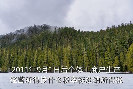 2011年9月1日后個(gè)體工商戶(hù)生產(chǎn)經(jīng)營(yíng)所得按什么稅率標(biāo)準(zhǔn)納所得稅