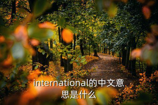 國際的英語，international的中文意思是什么