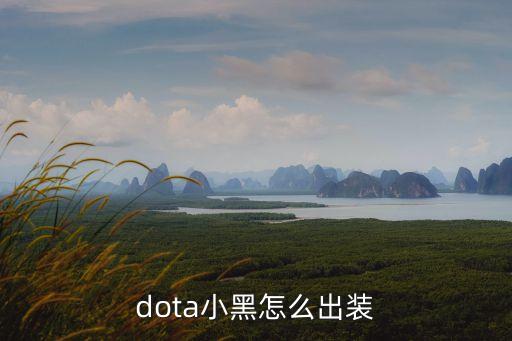 dota小黑出裝，dota小黑怎么出裝