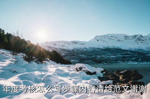 年度考核怎么寫步驟內(nèi)容請(qǐng)給范文謝謝