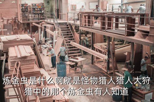 大狩獵，怪物獵人大狩獵中我想創建公會請問多少級才可以創建公會啊  搜
