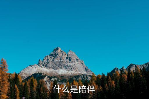 陪伴是什么，什么是陪伴