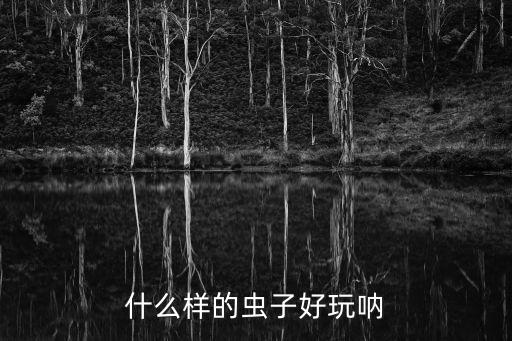有趣的昆蟲，有哪些有趣的昆蟲