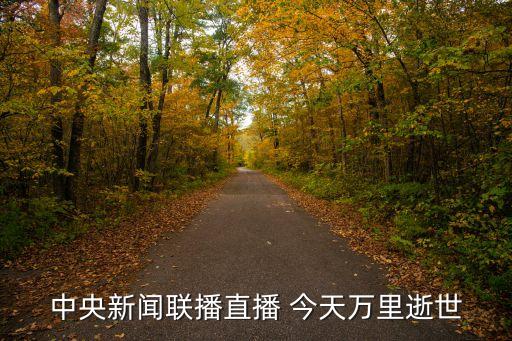 萬里追悼會，萬里去世仆告