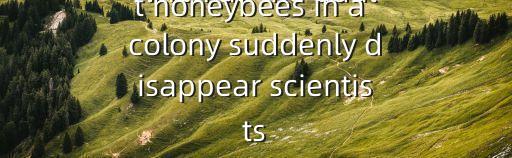 When all the adult honeybees in a colony suddenly disappear scientists