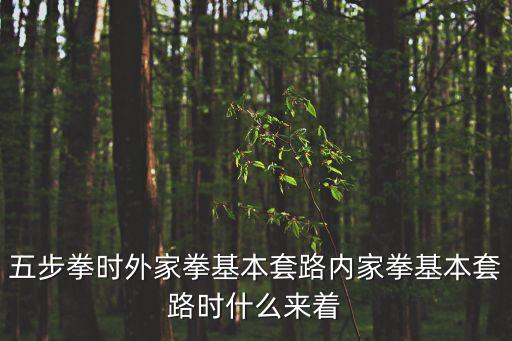 六步拳是邪拳，是意在拳先還是拳在意先