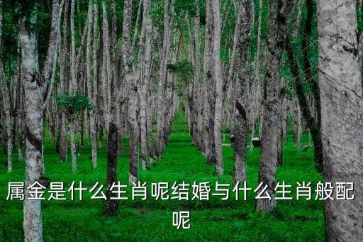 屬金是什么生肖呢結婚與什么生肖般配呢