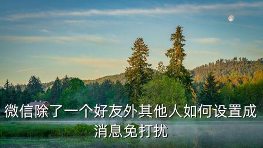微信除了一個好友外其他人如何設置成消息免打擾