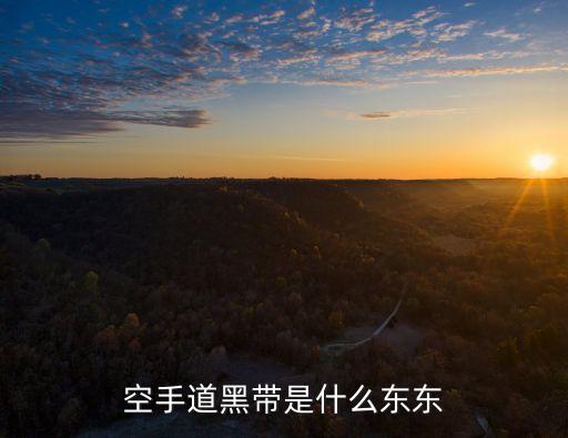 空手道黑帶是什么東東