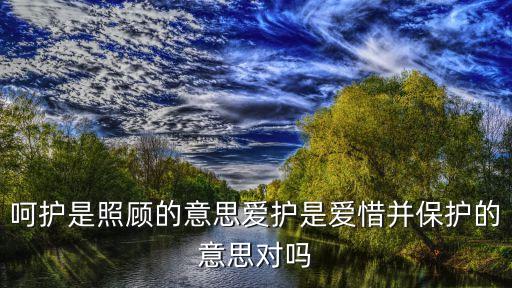 呵護的意思，呵護是照顧的意思愛護是愛惜并保護的意思對嗎