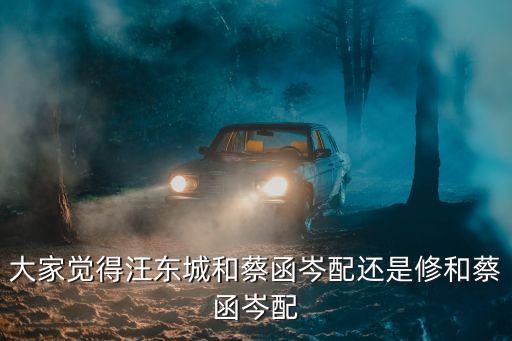 修和，大家覺得汪東城和蔡函岑配還是修和蔡函岑配