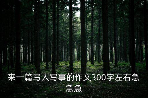 作文三百字，300字作文