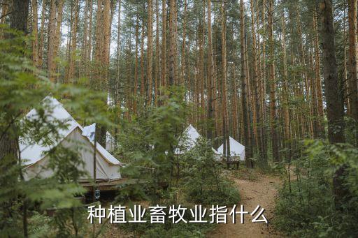 種植業，種植業和林業