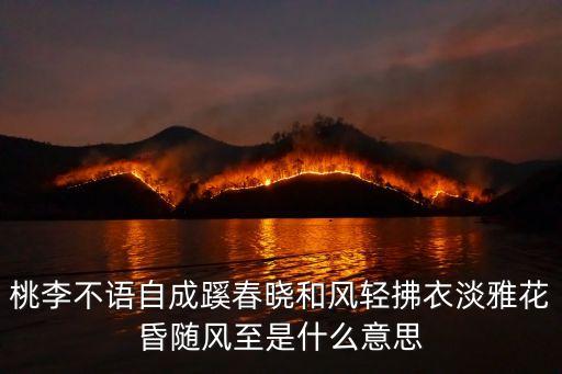 淡雅的意思，淡雅的近義詞