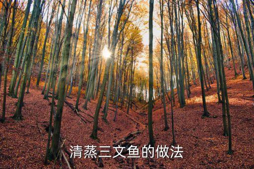 清蒸三文魚，清蒸三文魚的做法清蒸三文魚怎么做好吃清蒸