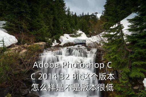 Adobe Photoshop CC 2014 32 Bit這個版本怎么樣是不是版本很低