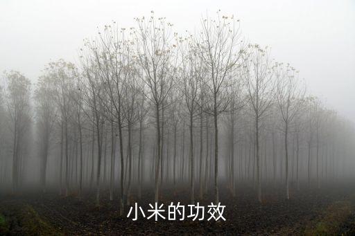 小米的功效，常吃小米有什么好處