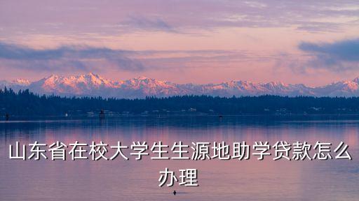 山東省在校大學生生源地助學貸款怎么辦理