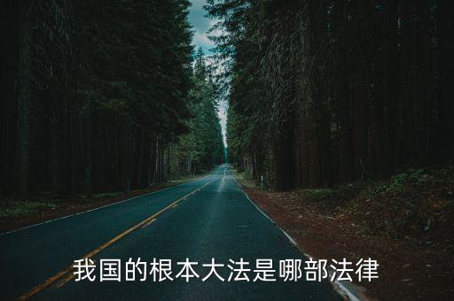 我國根本大法，我國的根本大法是哪部法律