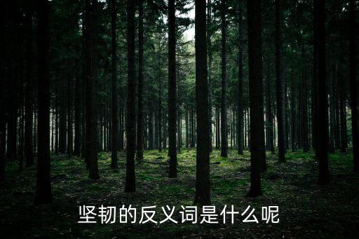 堅韌的反義詞是什么呢