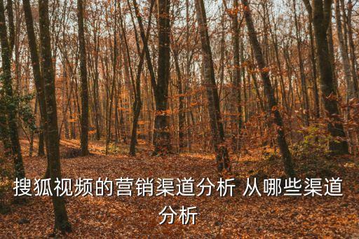 搜狐視頻的營銷渠道分析 從哪些渠道分析