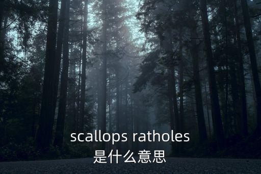 scallops ratholes是什么意思