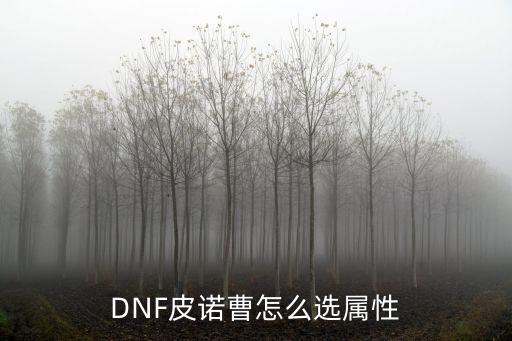 DNF皮諾曹怎么選屬性