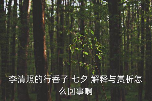 李清照的行香子 七夕 解釋與賞析怎么回事啊