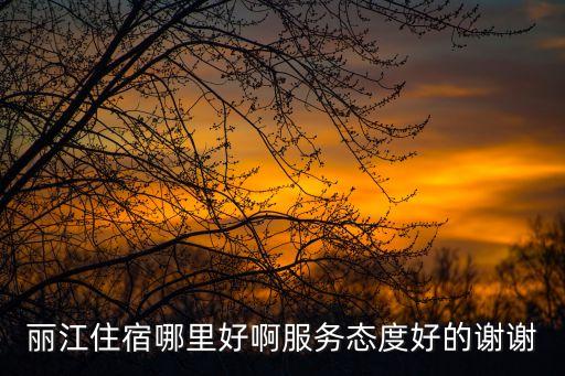麗江住宿哪里好啊服務態度好的謝謝