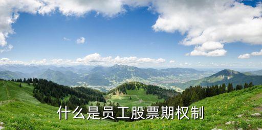 什么是員工股票期權(quán)制