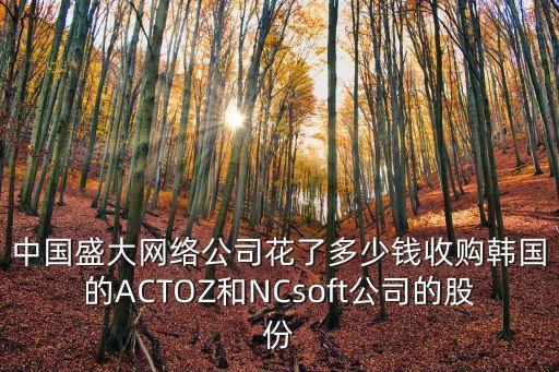 中國盛大網(wǎng)絡(luò)公司花了多少錢收購韓國的ACTOZ和NCsoft公司的股份