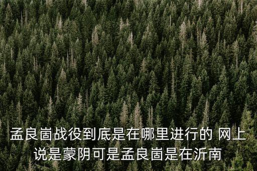 孟良崮戰役到底是在哪里進行的 網上說是蒙陰可是孟良崮是在沂南