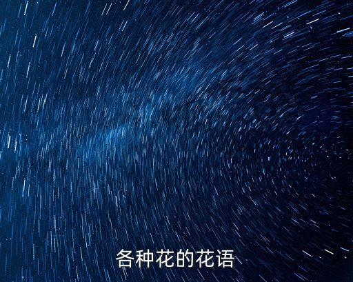 100種花的寓意和花語，各種花語每一種花的花語都是什么