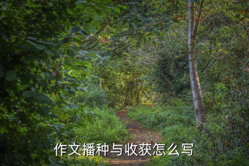 播種與收獲，播種與收獲 作文