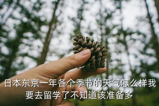 東京一年，日本東京現在一年的生活費用一般是多少
