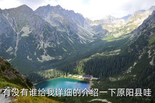 原陽縣，有沒有誰給我詳細的介紹一下原陽縣哇
