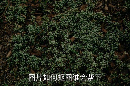 圖片如何摳圖誰會幫下