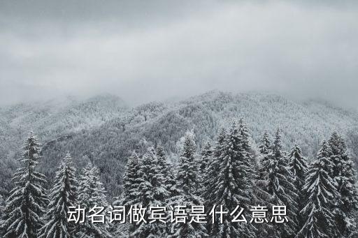 動名詞做賓語，動名詞作形式賓語