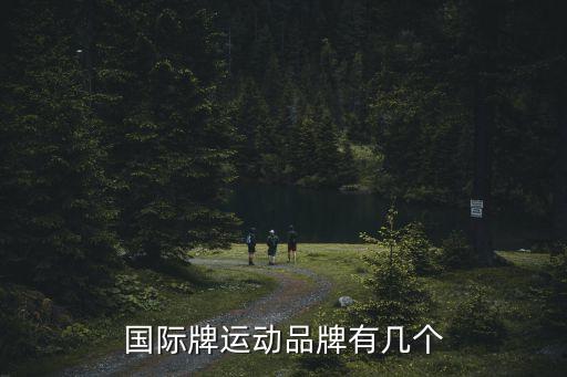 國際牌運動品牌有幾個