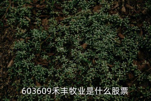 禾豐牧業(yè)股份有限公司，遼寧禾豐牧業(yè)有限公司怎么樣