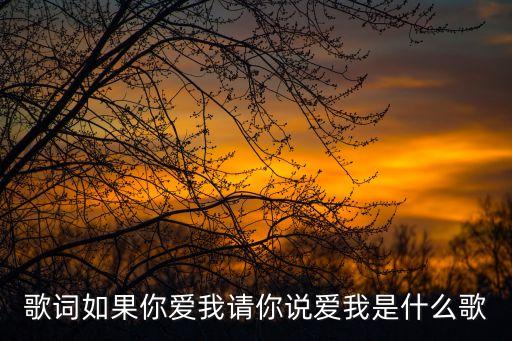 歌詞如果你愛我請你說愛我是什么歌