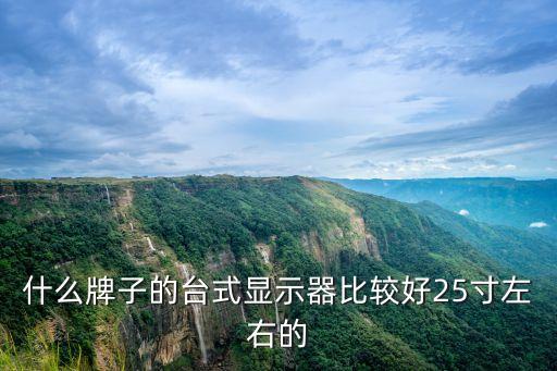 25寸顯示器，大家能告訴我電腦25寸顯示器該買哪個好