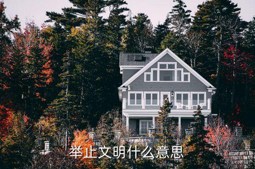 舉止文明，舉止文明什么意思